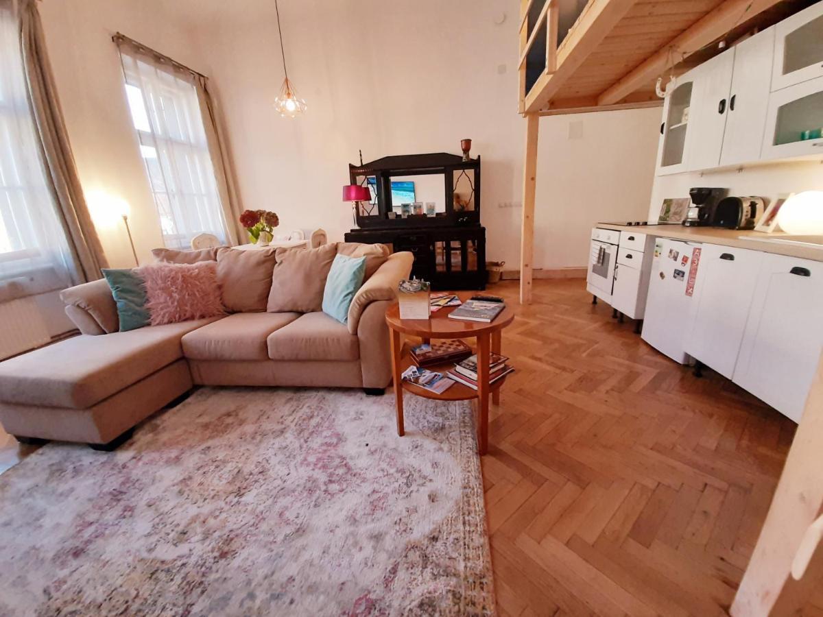 Central Loft Apartment Brașov Exterior foto